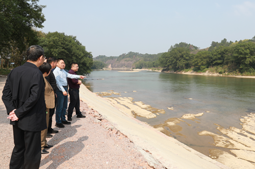 心博官方网站_XINBO(中国)党委书记张格林到乡村振兴对口联系点茶陵井和村调研