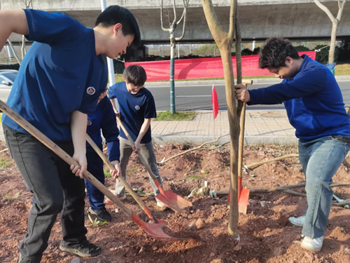 “青春志愿红，播种生态绿”——信息工程系开展雷锋月义务植树活动  