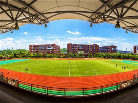 心博官方网站_XINBO(中国)夏日剪影