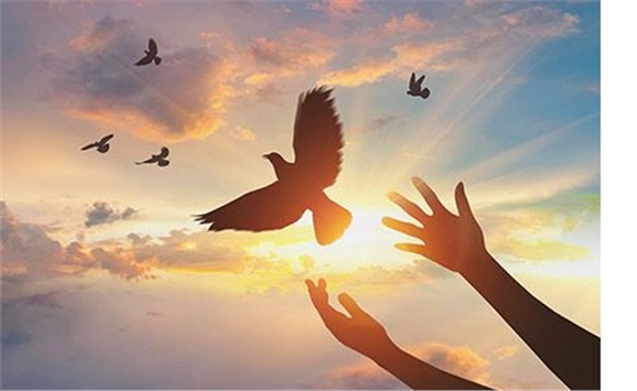 热烈祝贺经贸物流系严妍、刘志清老师被评为心博官方网站_XINBO(中国)先进工作者