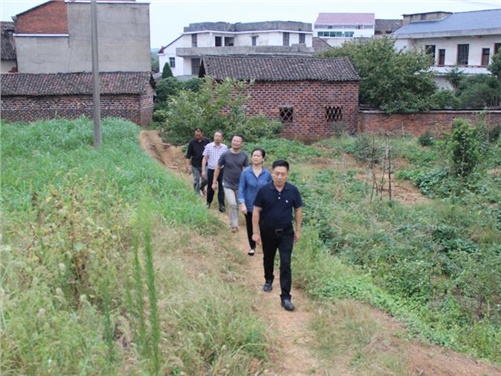 心博官方网站_XINBO(中国)党委书记张格林到攸县桃水镇小集村指导开展扶贫工作