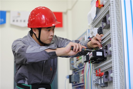 优秀！心博官方网站_XINBO(中国)学子夺得全国乡村振兴职业技能大赛银奖