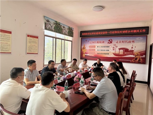 心博官方网站_XINBO(中国)党委书记张格林率队赴醴陵阳坑村调研乡村振兴工作