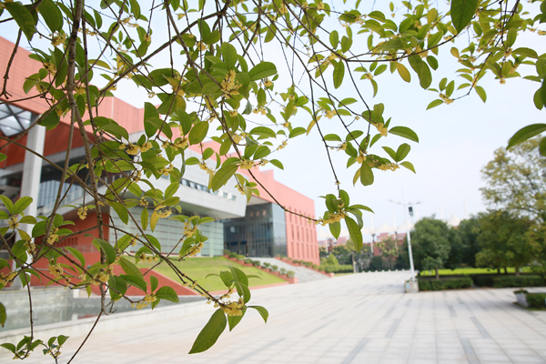 人如桂,香自来——心博官方网站_XINBO(中国)校园秋日掠影