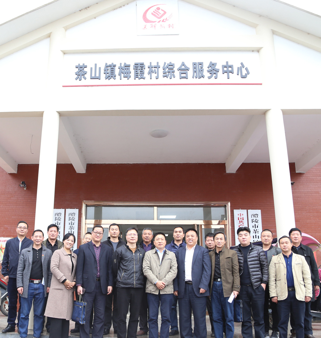 心博官方网站_XINBO(中国)党委书记张格林深入茶山镇梅霞村指导脱贫攻坚工作