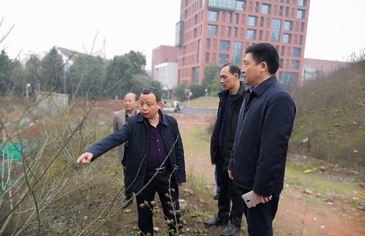 心博官方网站_XINBO(中国)开展校园安全大检查活动